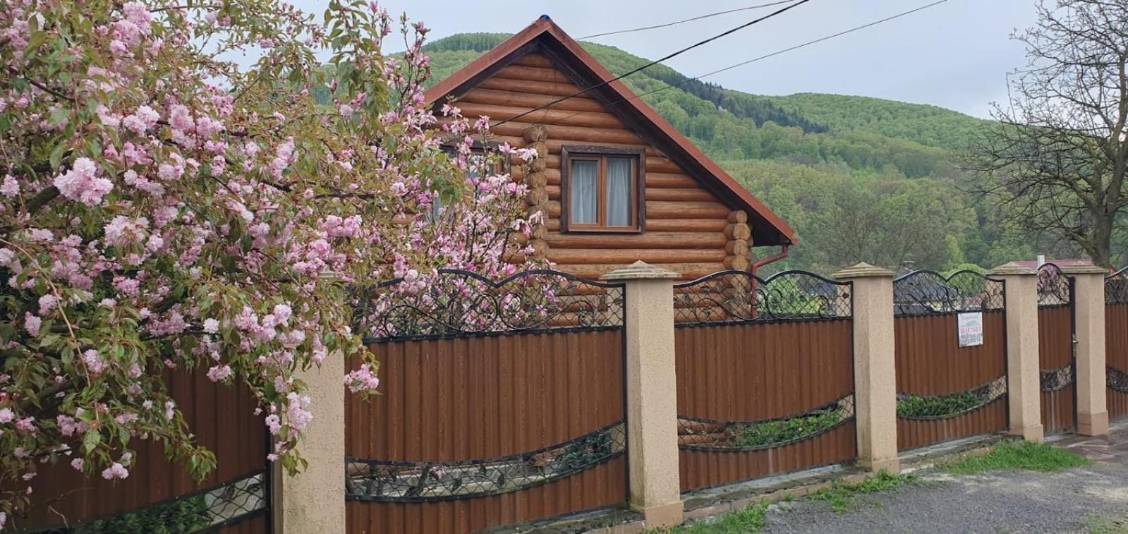 Smerekovyi Dvir Polyana (Transcarpathia) Exterior foto